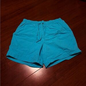 DSG Turquoise Shorts